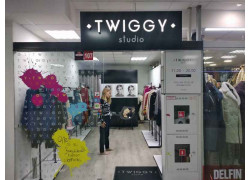 Twiggy studio