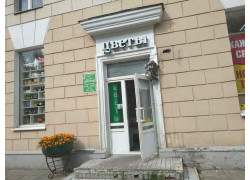 Витебский лён