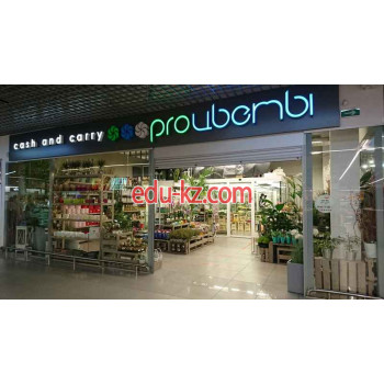 Товары для интерьера PROцветы - на портале styleby.su