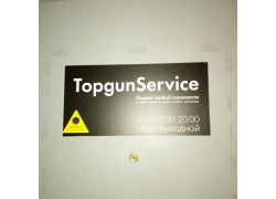 TopgunService