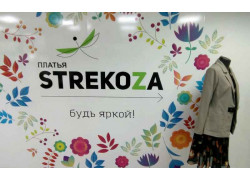 Strekoza