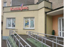 Кипарис