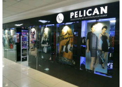 Pelican