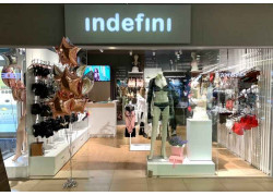 Indefini